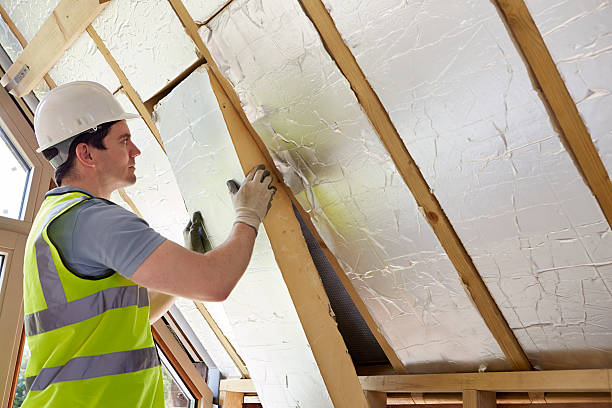 Best Commercial Insulation in Five Points, FL