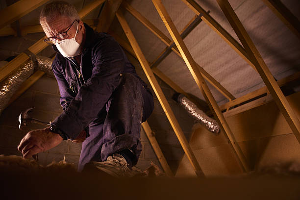 Best Residential Insulation in Five Points, FL